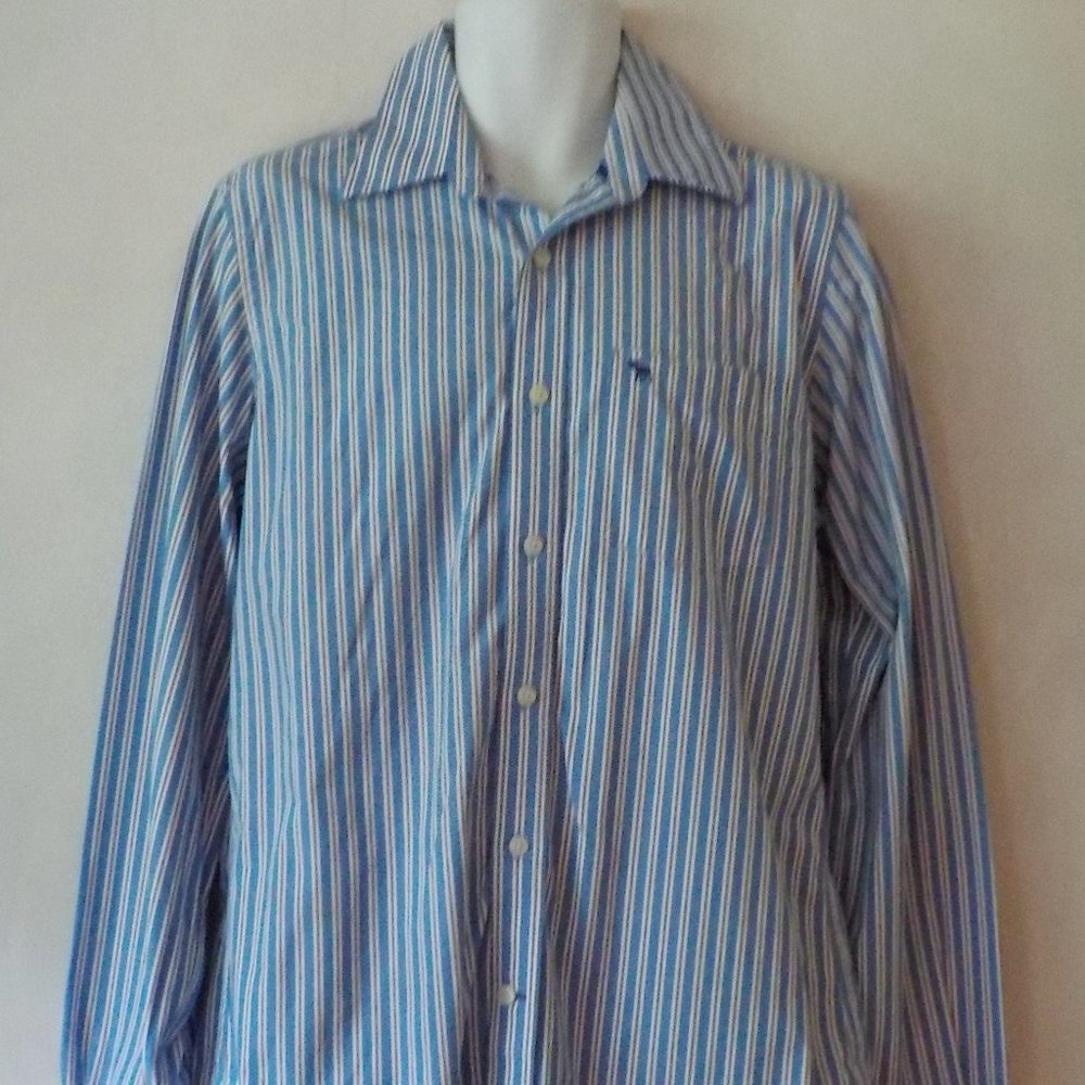 Abercrombie & Fitch shirt sz L blue stripe EUC